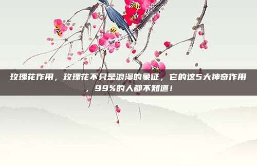 玫瑰花作用，玫瑰花不只是浪漫的象征，它的这5大神奇作用，99%的人都不知道！