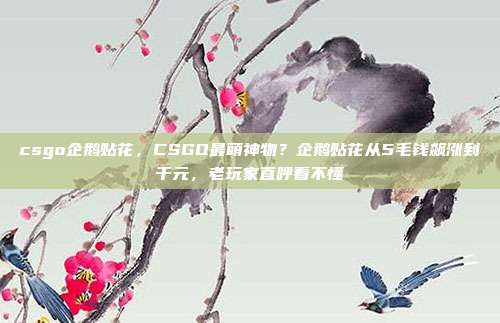 csgo企鹅贴花，CSGO最萌神物？企鹅贴花从5毛钱飙涨到千元，老玩家直呼看不懂