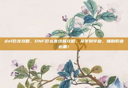 dnf巨龙攻略,DNF巨龙套终极攻略,从零到毕业,辅助职业必备!