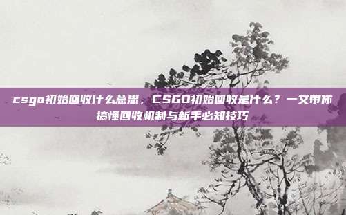 csgo初始回收什么意思，CSGO初始回收是什么？一文带你搞懂回收机制与新手必知技巧