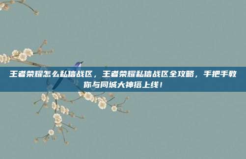 王者荣耀怎么私信战区，王者荣耀私信战区全攻略，手把手教你与同城大神搭上线！