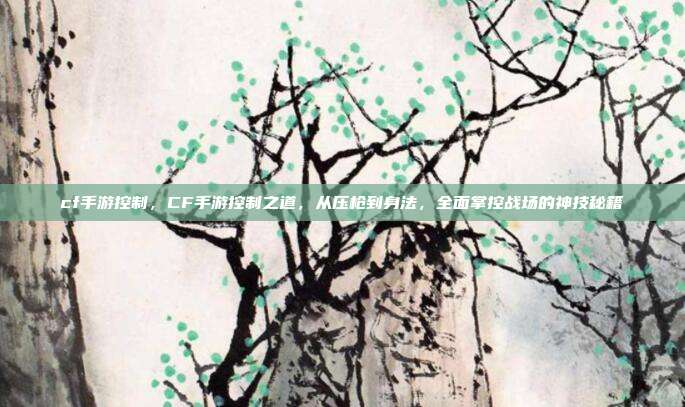 cf手游控制，CF手游控制之道，从压枪到身法，全面掌控战场的神技秘籍