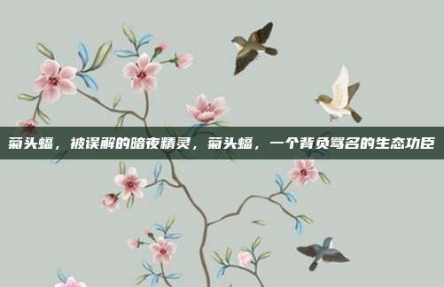 菊头蝠，被误解的暗夜精灵，菊头蝠，一个背负骂名的生态功臣
