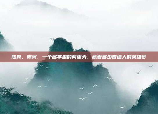陈翼,陈翼,一个名字里的两重天,藏着多少普通人的英雄梦