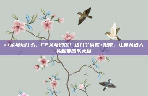 cf菜鸟玩什么，CF菜鸟别慌！这几个模式+枪械，让你从送人头秒变团队大腿