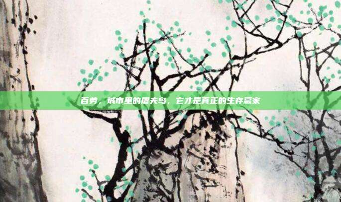 百劳，城市里的屠夫鸟，它才是真正的生存赢家