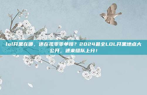 lol开黑在哪，还在孤零零单排？2024最全LOL开黑地点大公开，速来组队上分！