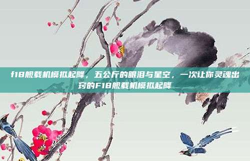 f18舰载机模拟起降，五公斤的眼泪与星空，一次让你灵魂出窍的F18舰载机模拟起降