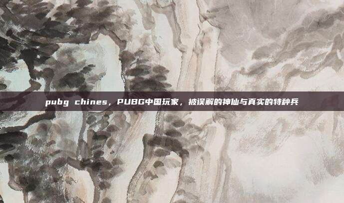pubg chines，PUBG中国玩家，被误解的神仙与真实的特种兵