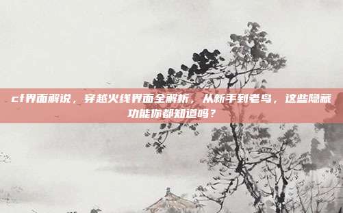 cf界面解说，穿越火线界面全解析，从新手到老鸟，这些隐藏功能你都知道吗？