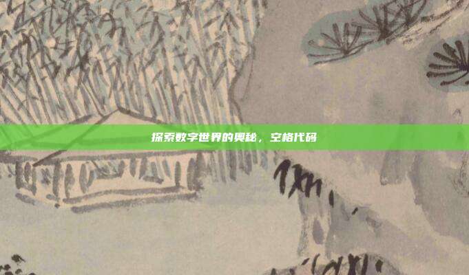 探索数字世界的奥秘,空格代码