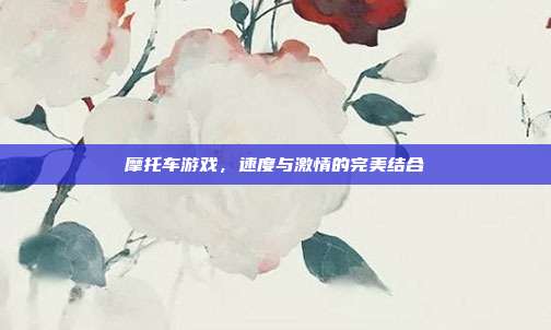 摩托车游戏，速度与激情的完美结合