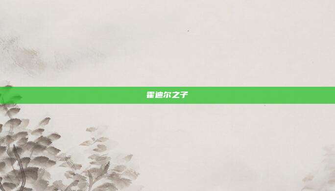 霍迪尔之子