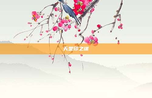 天罡印之谋