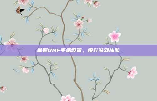 掌握DNF手柄设置，提升游戏体验