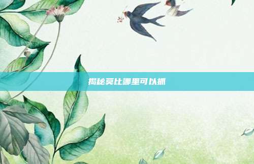 揭秘莫比哪里可以抓