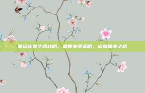 曹操传豪华版攻略，掌握关键策略，成就霸业之路
