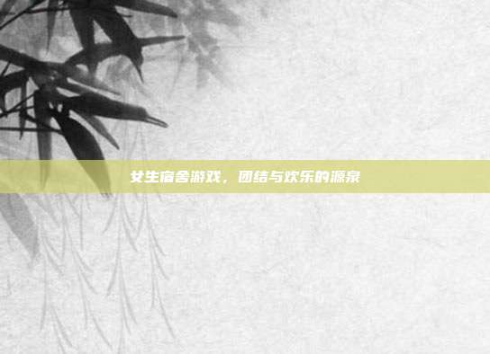 女生宿舍游戏，团结与欢乐的源泉