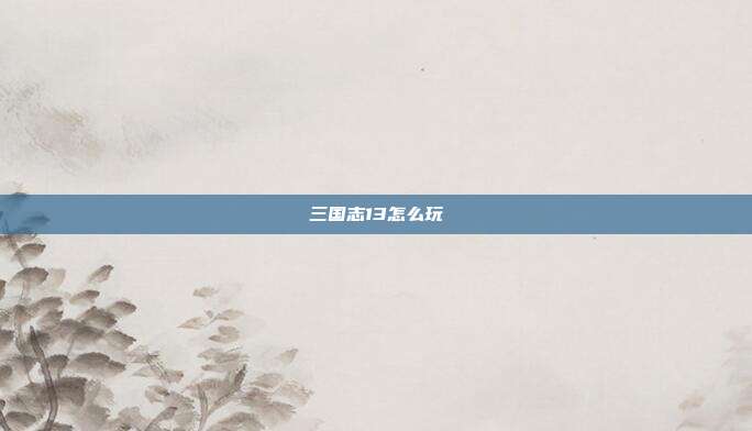三国志13怎么玩