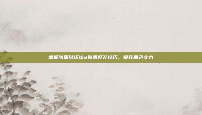 掌握暗黑破坏神3装备打孔技巧，提升角色实力