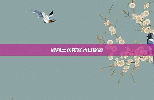 剑网三荻花宫入口探秘
