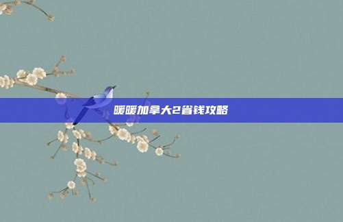 暖暖加拿大2省钱攻略