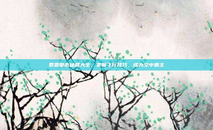 罪恶都市秘籍大全，掌握飞行技巧，成为空中霸主