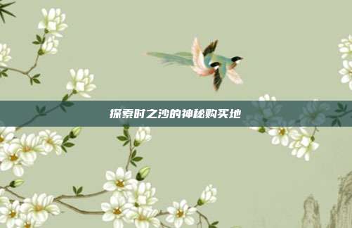 探索时之沙的神秘购买地