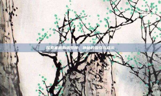 探索塞格的塔罗牌，神秘的指引与启示