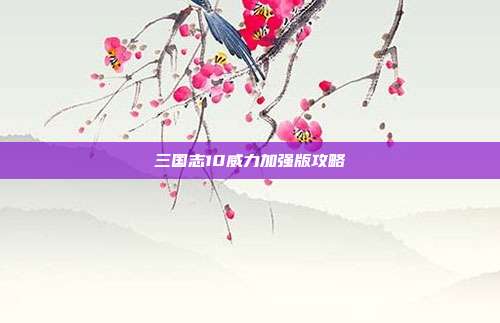 三国志10威力加强版攻略