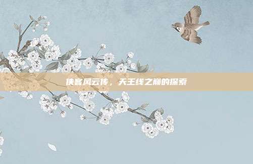 侠客风云传，天王线之巅的探索