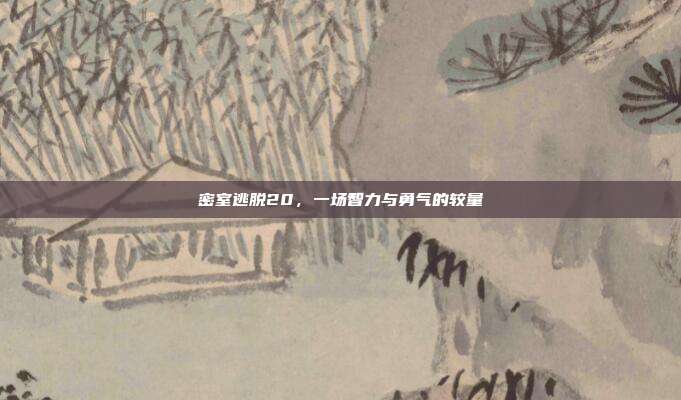 密室逃脱20，一场智力与勇气的较量