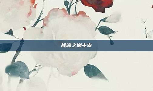 战魂之巅主宰