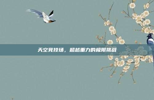 天空竞技场，超越重力的极限挑战