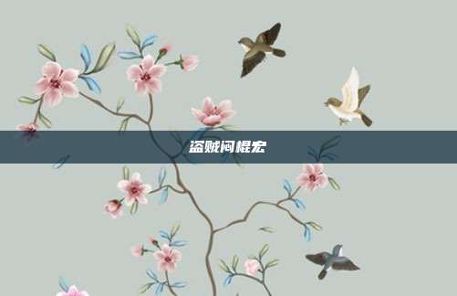 盗贼闷棍宏