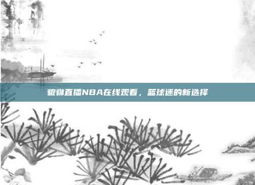 貔貅直播NBA在线观看，篮球迷的新选择