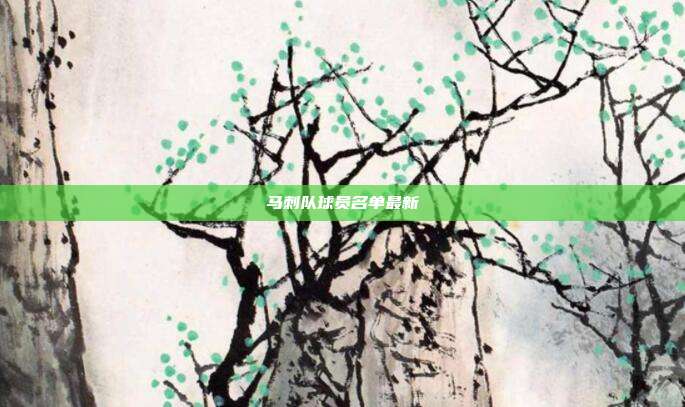 马刺队球员名单最新