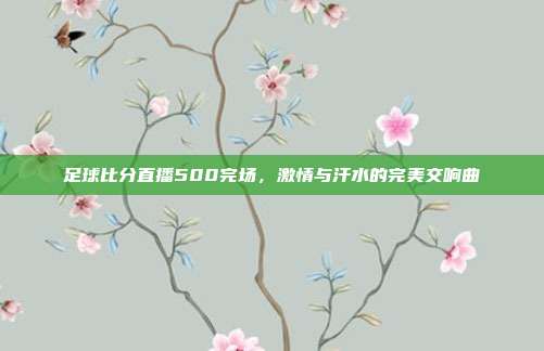 足球比分直播500完场，激情与汗水的完美交响曲