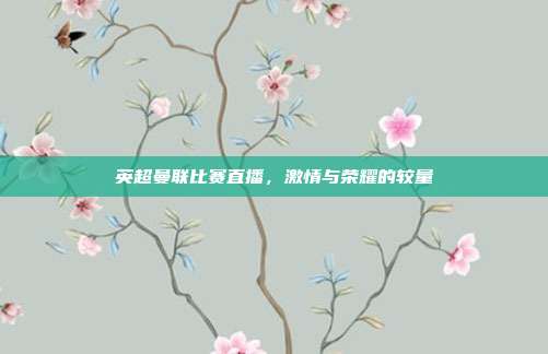 英超曼联比赛直播，激情与荣耀的较量