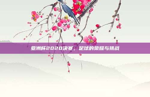 亚洲杯2020决赛，足球的荣耀与挑战