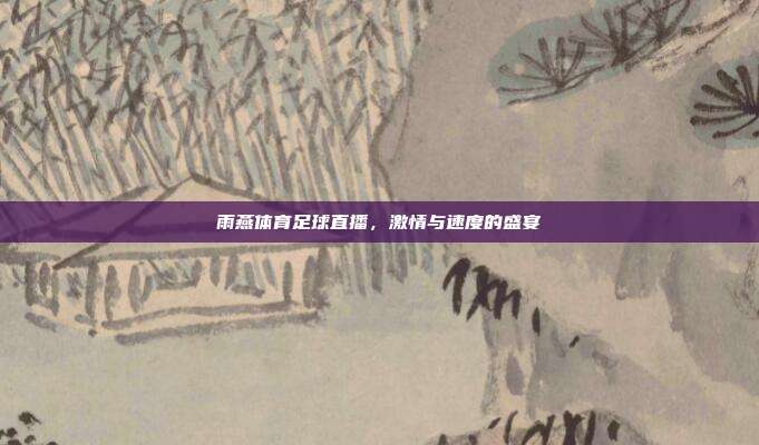 雨燕体育足球直播，激情与速度的盛宴