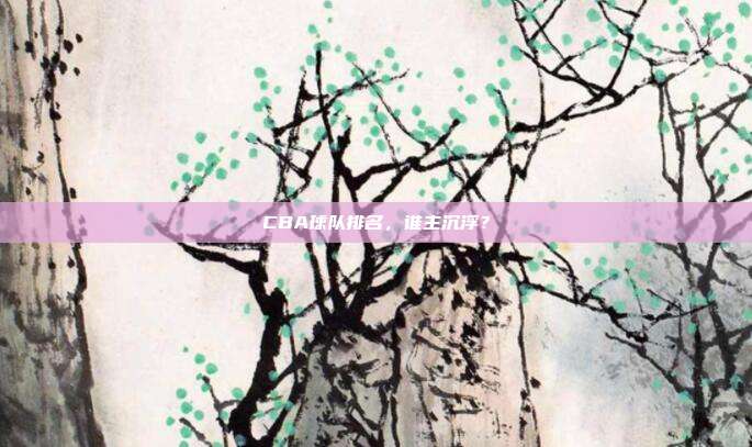 CBA球队排名，谁主沉浮？