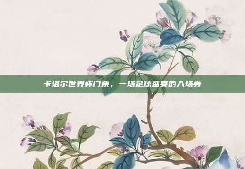 卡塔尔世界杯门票，一场足球盛宴的入场券
