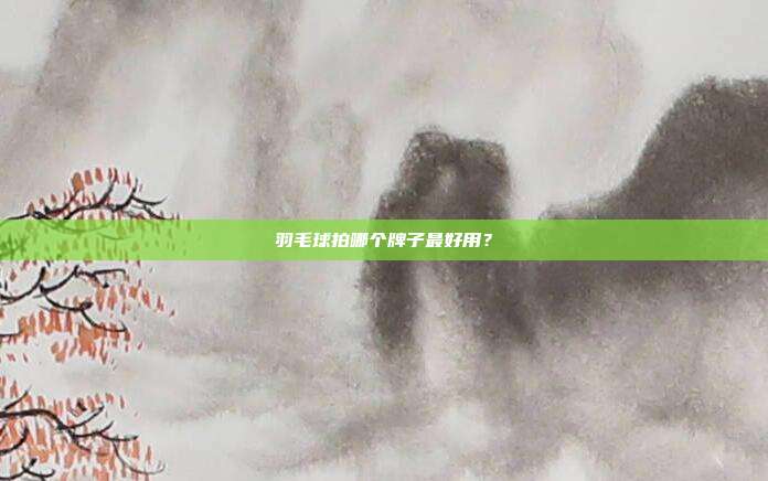 羽毛球拍哪个牌子最好用？