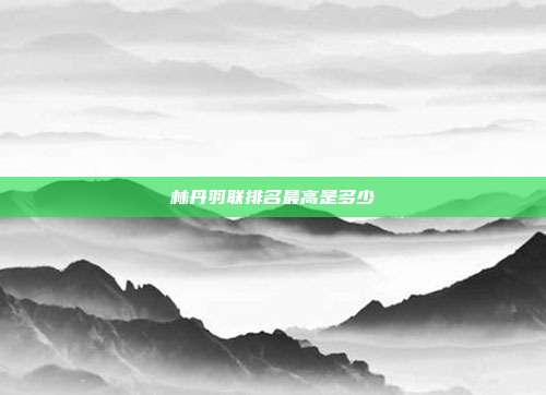林丹羽联排名最高是多少