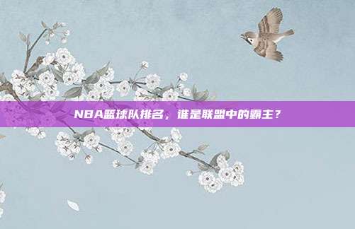 NBA篮球队排名，谁是联盟中的霸主？