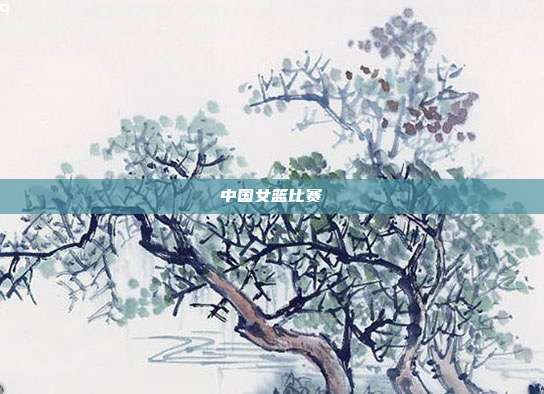 中国女篮比赛