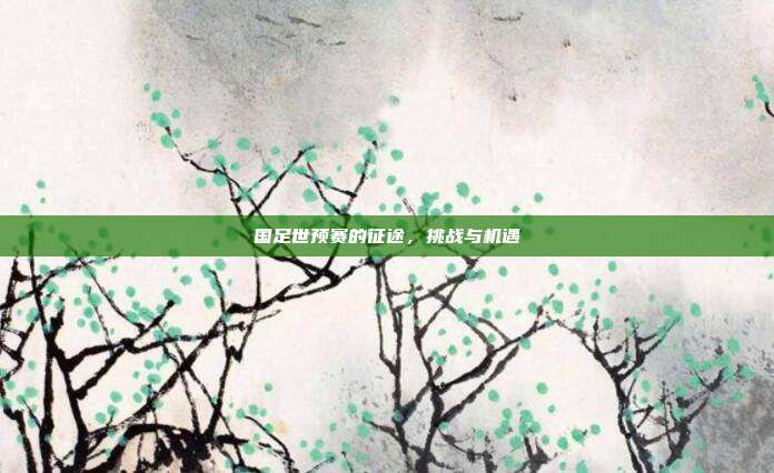 国足世预赛的征途，挑战与机遇