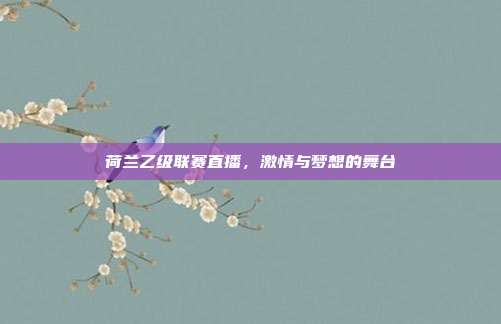 荷兰乙级联赛直播，激情与梦想的舞台
