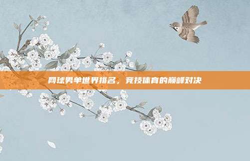 网球男单世界排名，竞技体育的巅峰对决